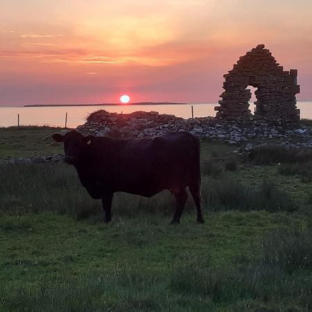Beezies Self Catering Cottages Grange  Eksteriør bilde