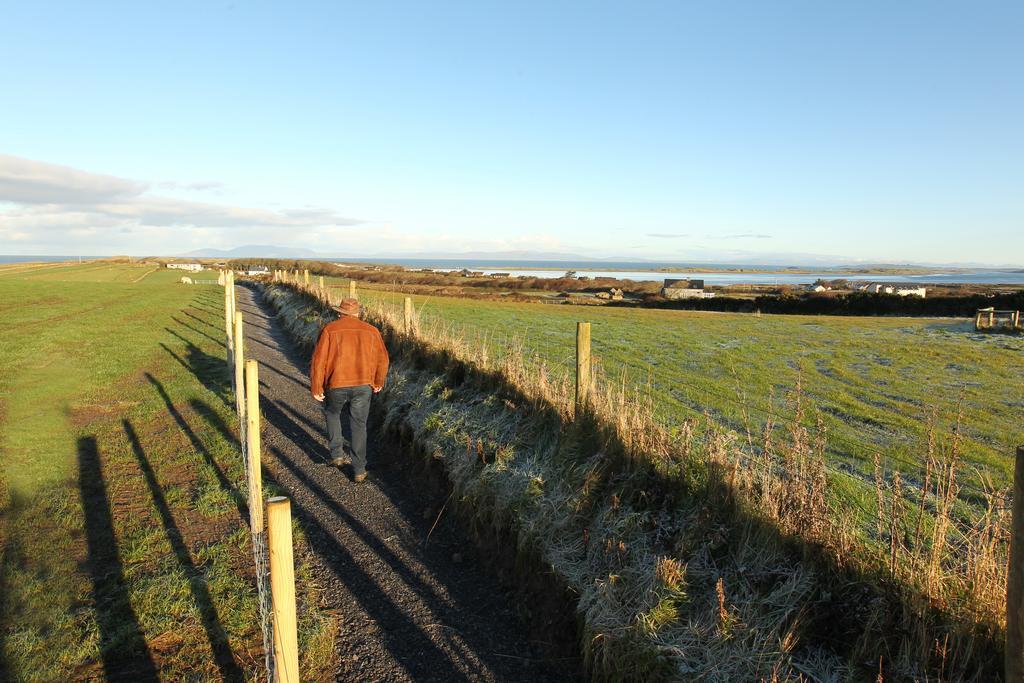 Beezies Self Catering Cottages Grange  Eksteriør bilde